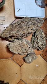 dragon stone ada originali 