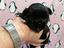 Immagine 5