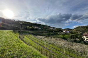 Terreno a Roncà (VR)