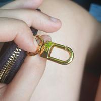 borsellino potrà monete Louis Vuitton 