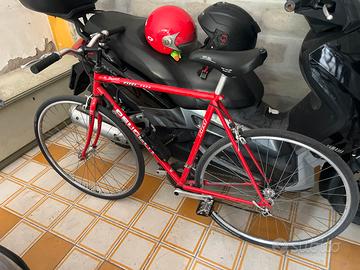 Bici uomo Peugeaut first race  M