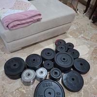 pesi palestra in ghisa e in ghisa gommata 
