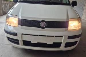 Fiat Panda 1.2 benzina euro 5 neo patentati
