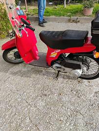 Motorino sh Honda 50