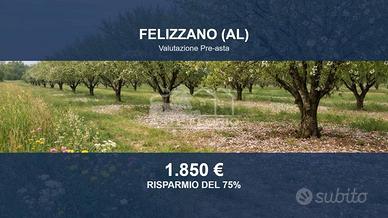 Immobile in asta di 9410 m² a Felizzano