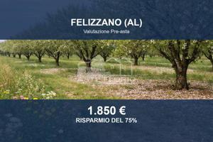 Immobile in asta di 9410 m² a Felizzano