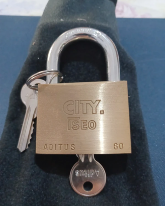 lucchetto Iseo -- Sicurezza vera, zero compromessi