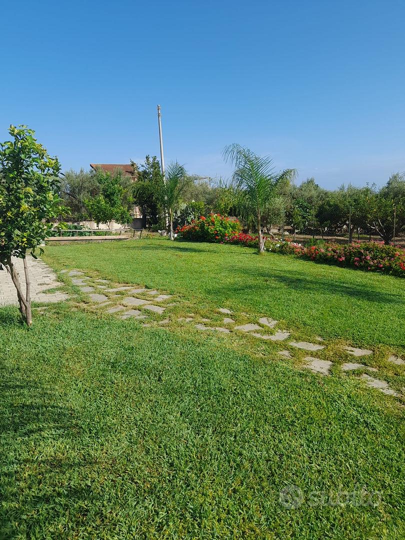 Terreno agricolo - Vista 6
