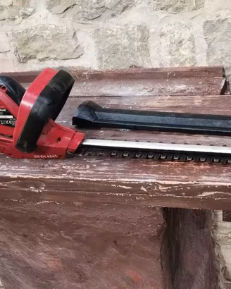 Tagliasiepi elettrico