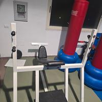 panca inclinata technogym  o permuta 