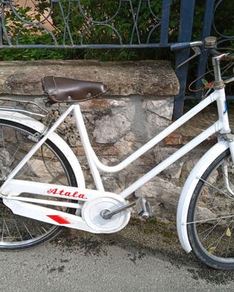 Bicicletta da passeggio