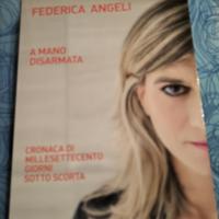 libro di cronaca 