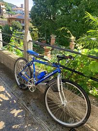 MOUNTAIN BIKE LONGONI APACHE