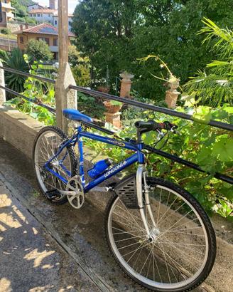 MOUNTAIN BIKE LONGONI APACHE
