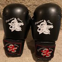 Guantoni kick boxing