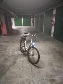 Bicicletta elettrica