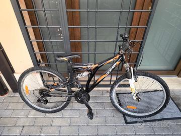bicicletta