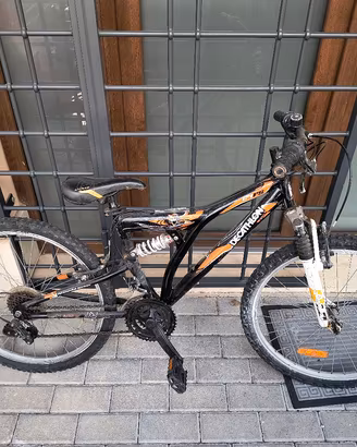 bicicletta