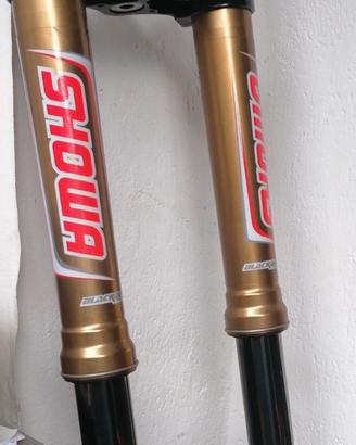 honda ricambi forcelle showa CRF twin air renthal