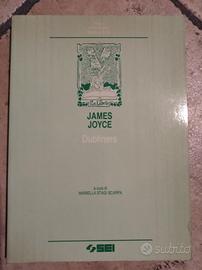 Libri in inglese