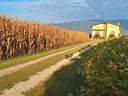 fontanafredda-casa-singola-e-terreni