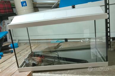 Acquario in vetro con coperchio e illuminazione