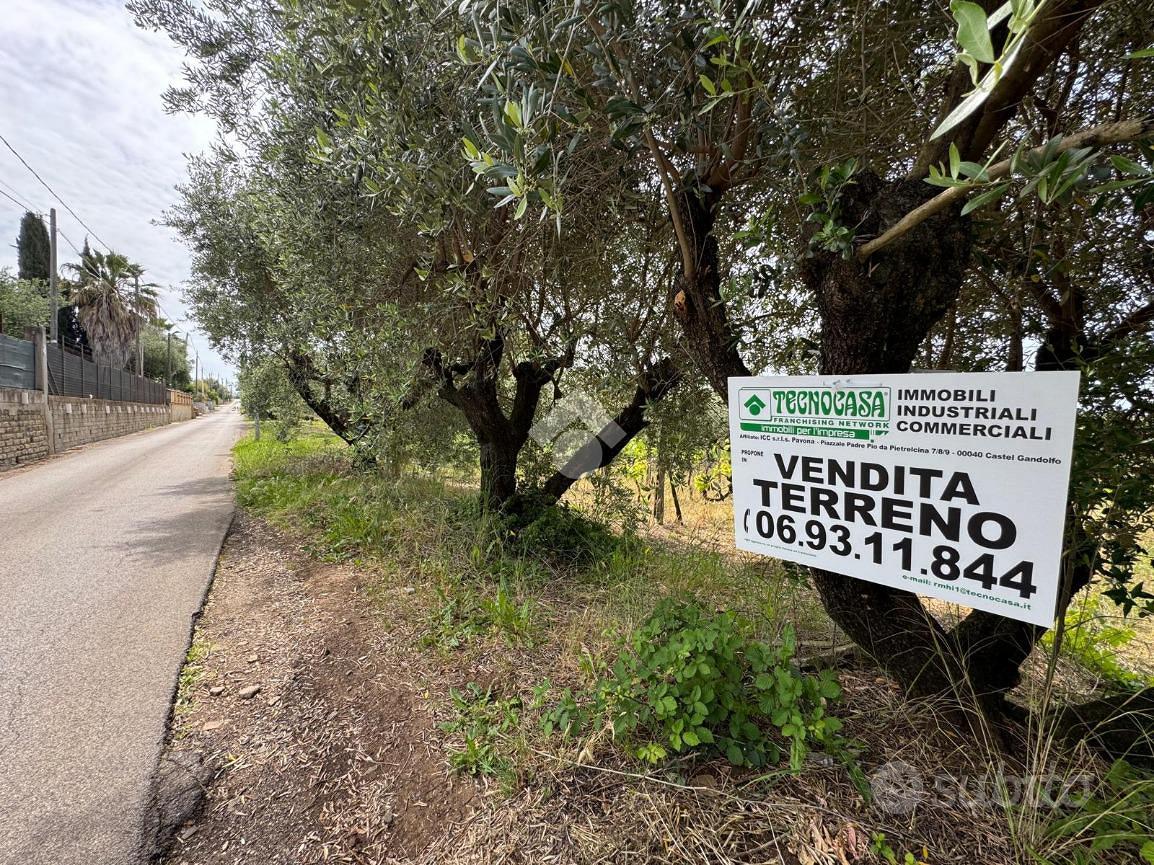 TER. AGRICOLO A LANUVIO - Vista 2