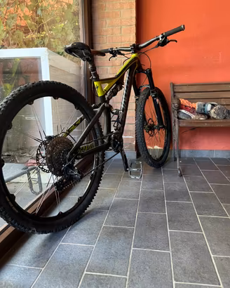 mtb specialized