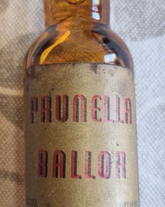 Mignon Prunella Ballor Torino 32 cc