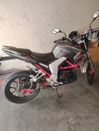 MOTO SENKE 125 CILINDRATA 