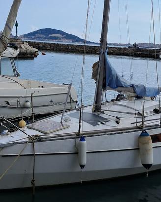Barca a vela 7 metri natante autorizzata 12 miglia