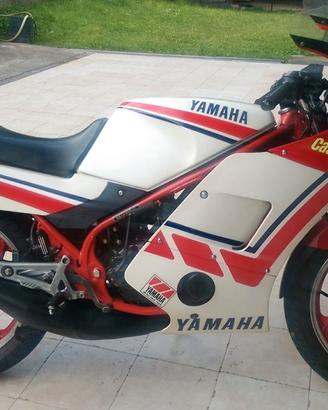 RD 350 Yamaha