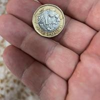 One pound queen elizabeth II 2017per collezionisti