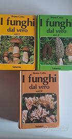 catalogo funghi 
