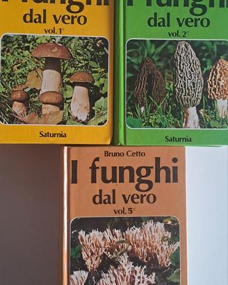 catalogo funghi 