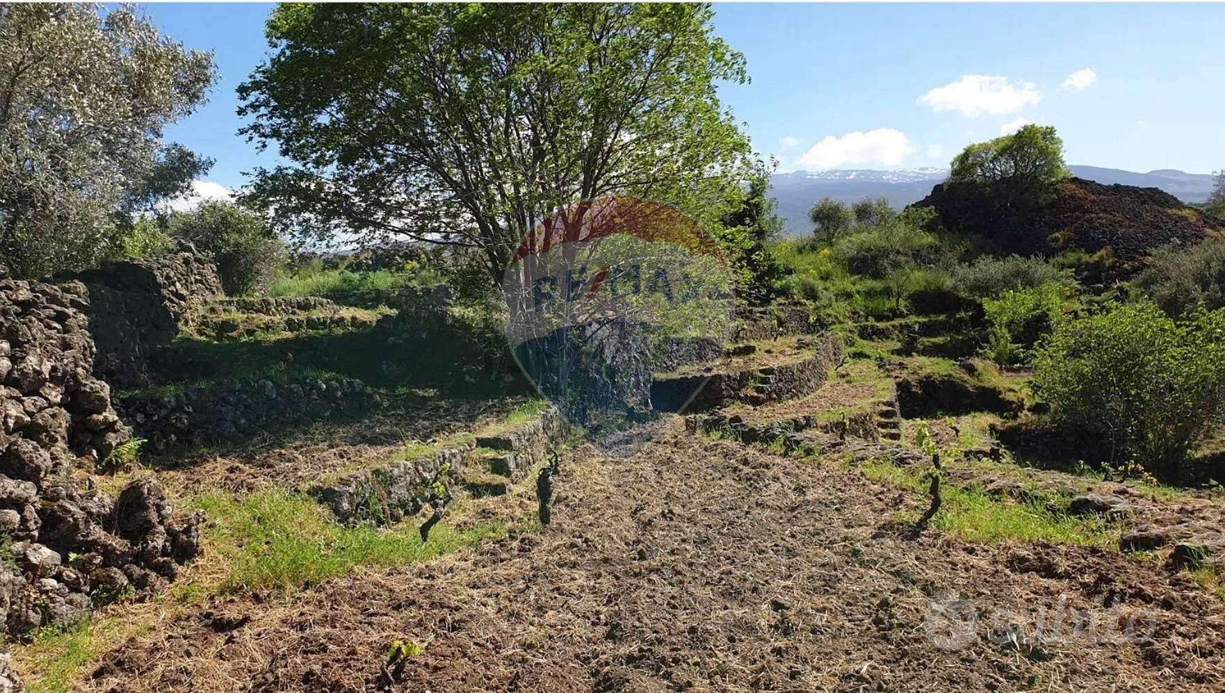 Terreno - Castiglione di Sicilia - Vista 5