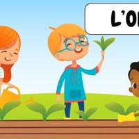 ORTO  KM0  VUOI ABBATTERE IL COSTO DELLA SPESA  ?