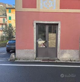 NEGOZIO A BORZONASCA