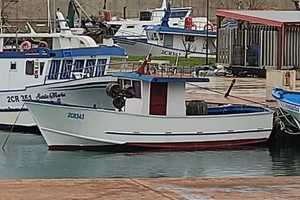 Barca da pesca con licenza