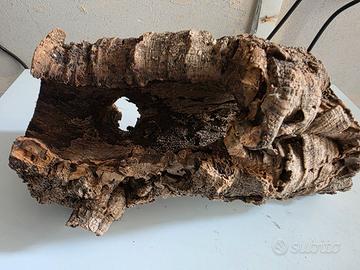 Tronco cavo per rettili e anfibi