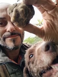 Lagotti da tartufo
