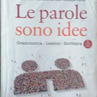 LE PAROLE SONO IDEE