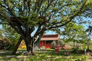 Villa nella riserva naturale di canale Monterano