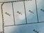 Immagine 12