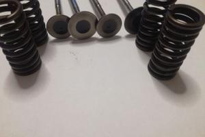 Piaggio Valvole+molle Testata 125/180/200/250 orig