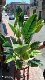 pianta artificiale 