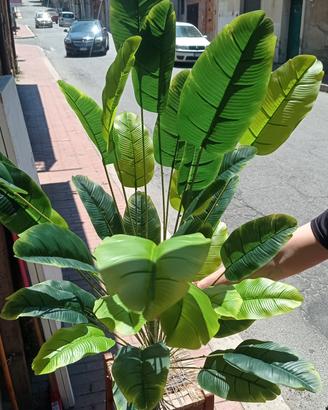 pianta artificiale 