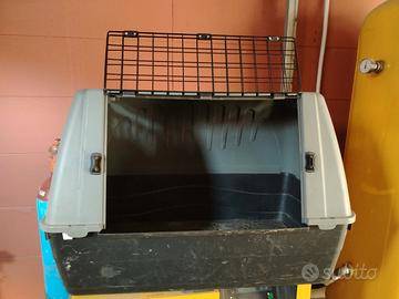 kennel cane