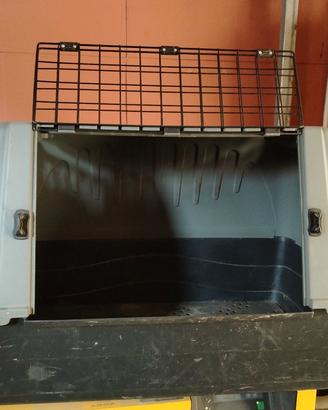 kennel cane