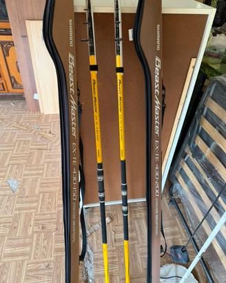 Coppia canne surfcasting Shimano